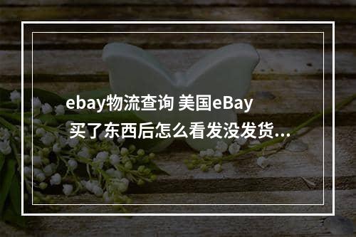 ebay物流查询 美国eBay 买了东西后怎么看发没发货,怎么看快递号啊