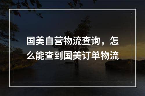 国美自营物流查询，怎么能查到国美订单物流