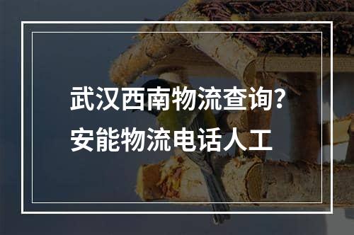 武汉西南物流查询？安能物流电话人工