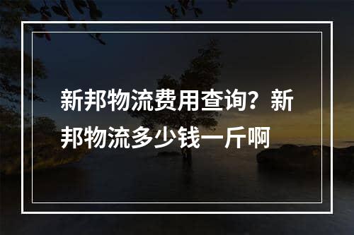 新邦物流费用查询？新邦物流多少钱一斤啊