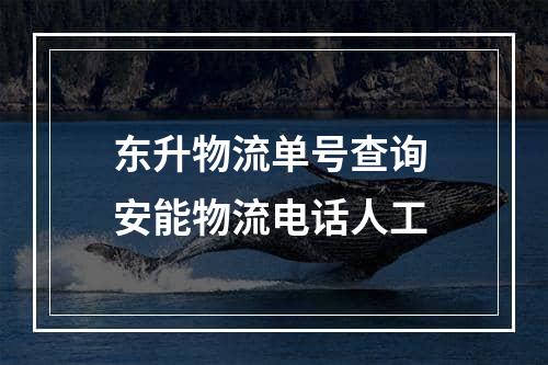 东升物流单号查询 安能物流电话人工