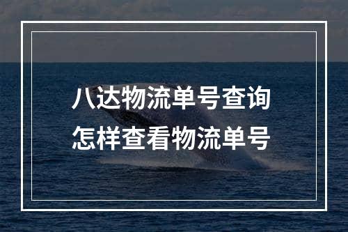 八达物流单号查询 怎样查看物流单号