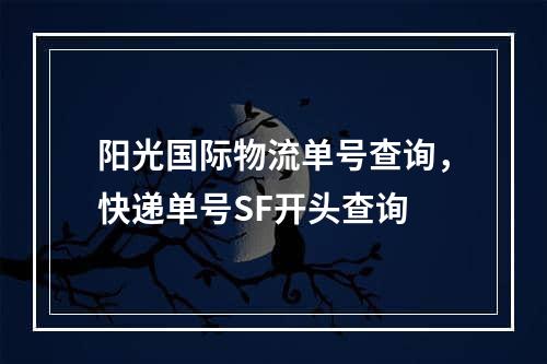 阳光国际物流单号查询，快递单号SF开头查询