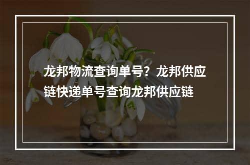 龙邦物流查询单号？龙邦供应链快递单号查询龙邦供应链