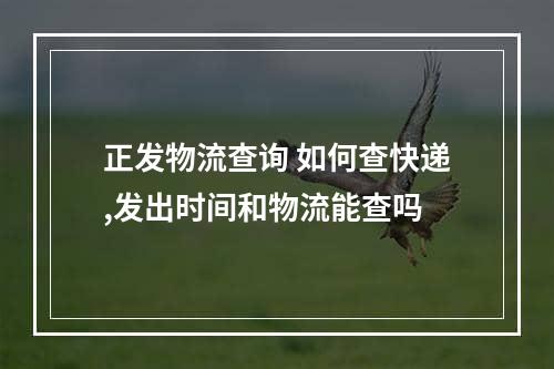 正发物流查询 如何查快递,发出时间和物流能查吗