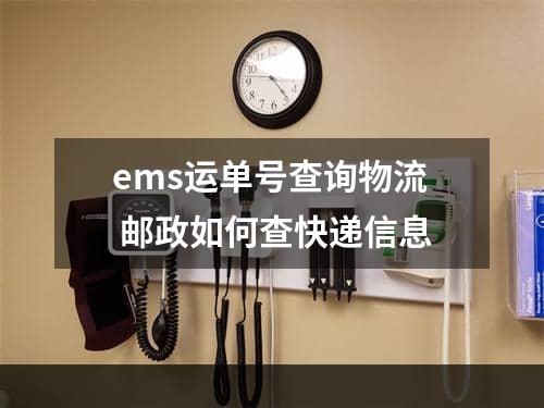 ems运单号查询物流 邮政如何查快递信息