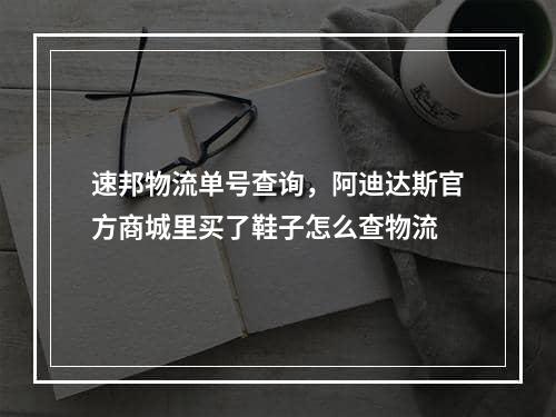 速邦物流单号查询，阿迪达斯官方商城里买了鞋子怎么查物流