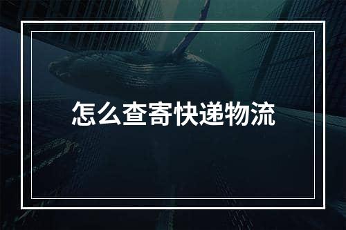 怎么查寄快递物流