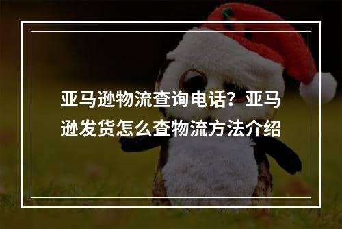 亚马逊物流查询电话？亚马逊发货怎么查物流方法介绍