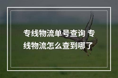 专线物流单号查询 专线物流怎么查到哪了