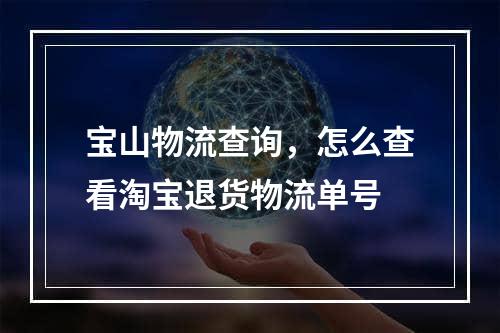 宝山物流查询，怎么查看淘宝退货物流单号