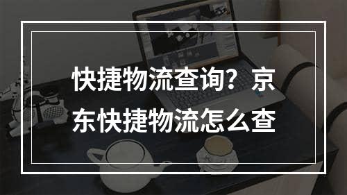 快捷物流查询？京东快捷物流怎么查