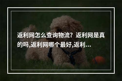 返利网怎么查询物流？返利网是真的吗,返利网哪个最好,返利网怎么用