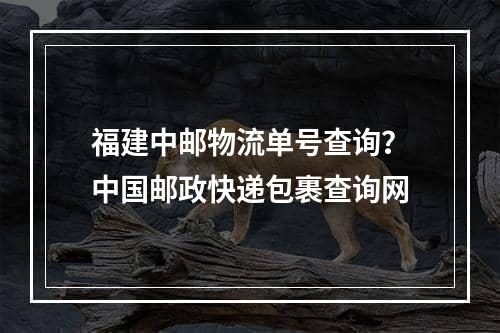 福建中邮物流单号查询？中国邮政快递包裹查询网