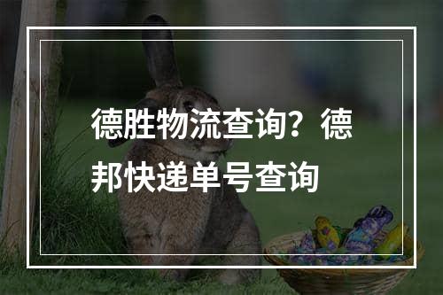 德胜物流查询？德邦快递单号查询