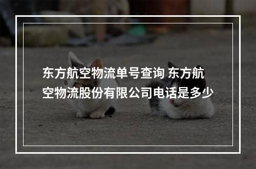 东方航空物流单号查询 东方航空物流股份有限公司电话是多少