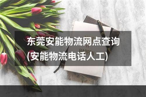 东莞安能物流网点查询(安能物流电话人工)